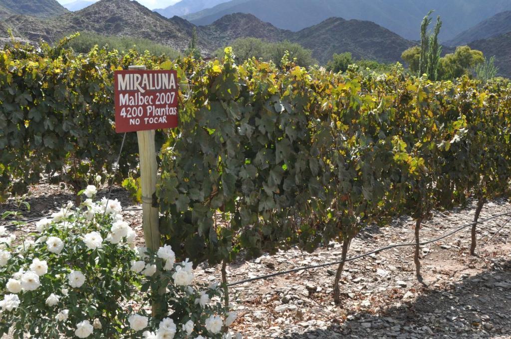Miraluna Bodega Boutique Cachí Exteriér fotografie